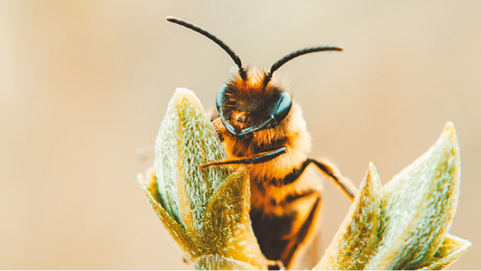 RE2025 : Une nouvelle étape vers des maisons plus respectueuses de l’environnement !