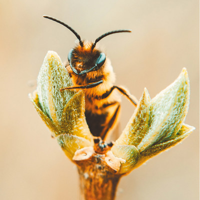 RE2025 : Une nouvelle étape vers des maisons plus respectueuses de l’environnement !