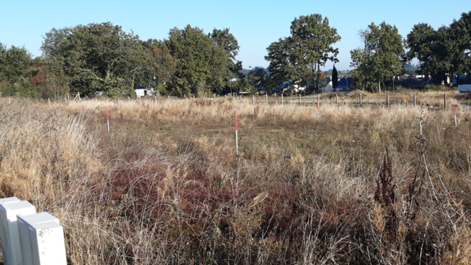 Terrain constructible de 559m2 à Longuenée-en-Anjou