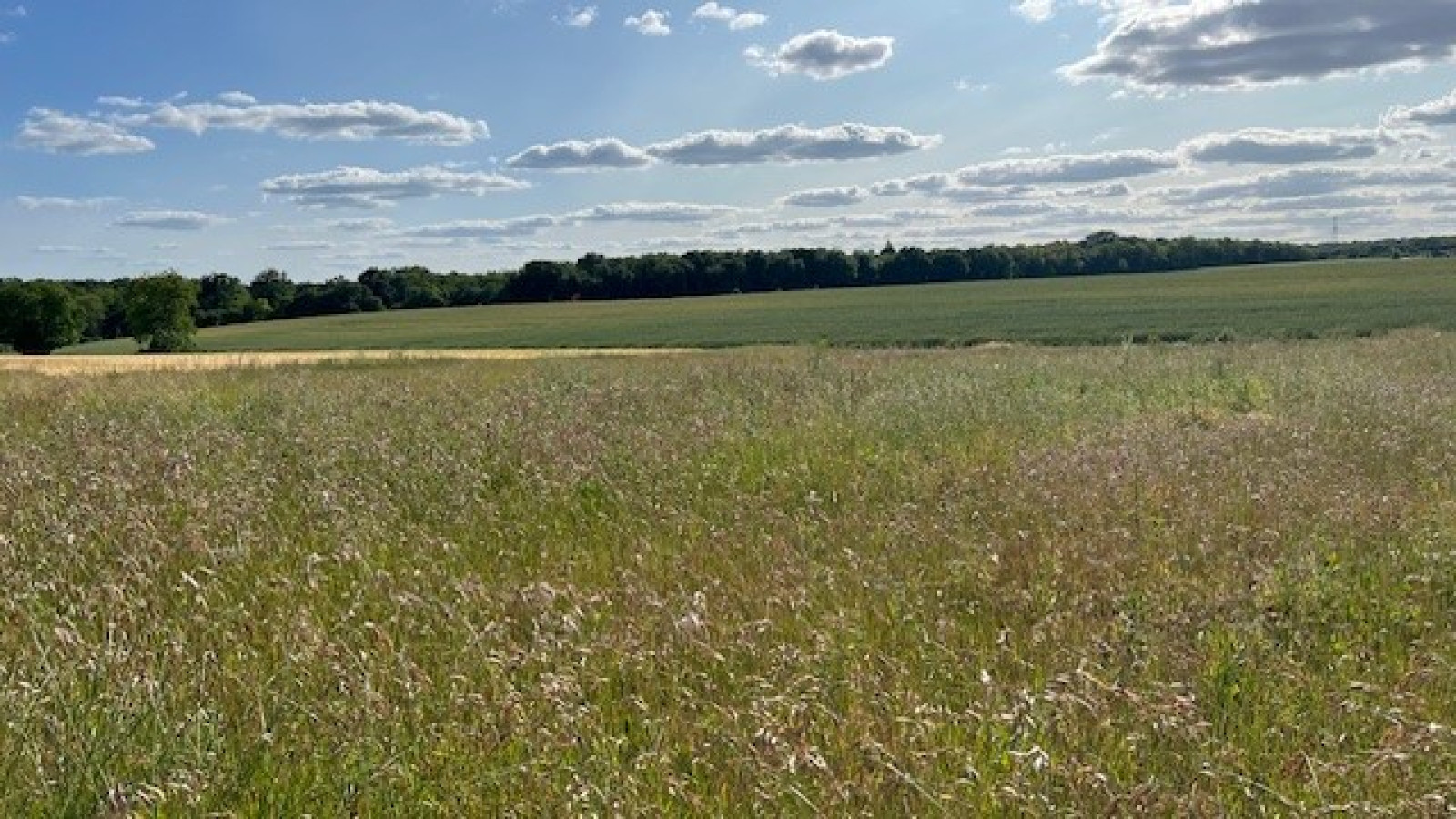 Terrain constructible de 1345m2 à Rouziers-de-Touraine