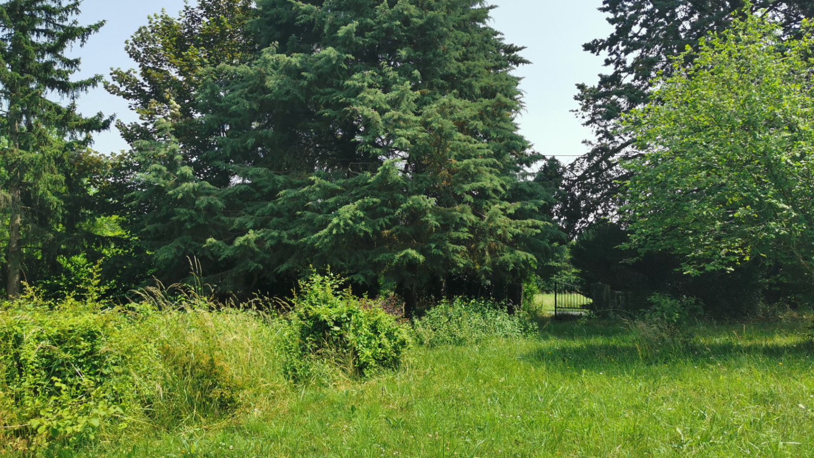 Terrain constructible de 886m2 à Savonnières