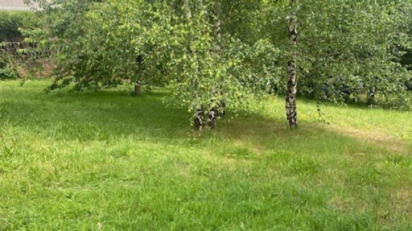 terrain roulet 2.jpg