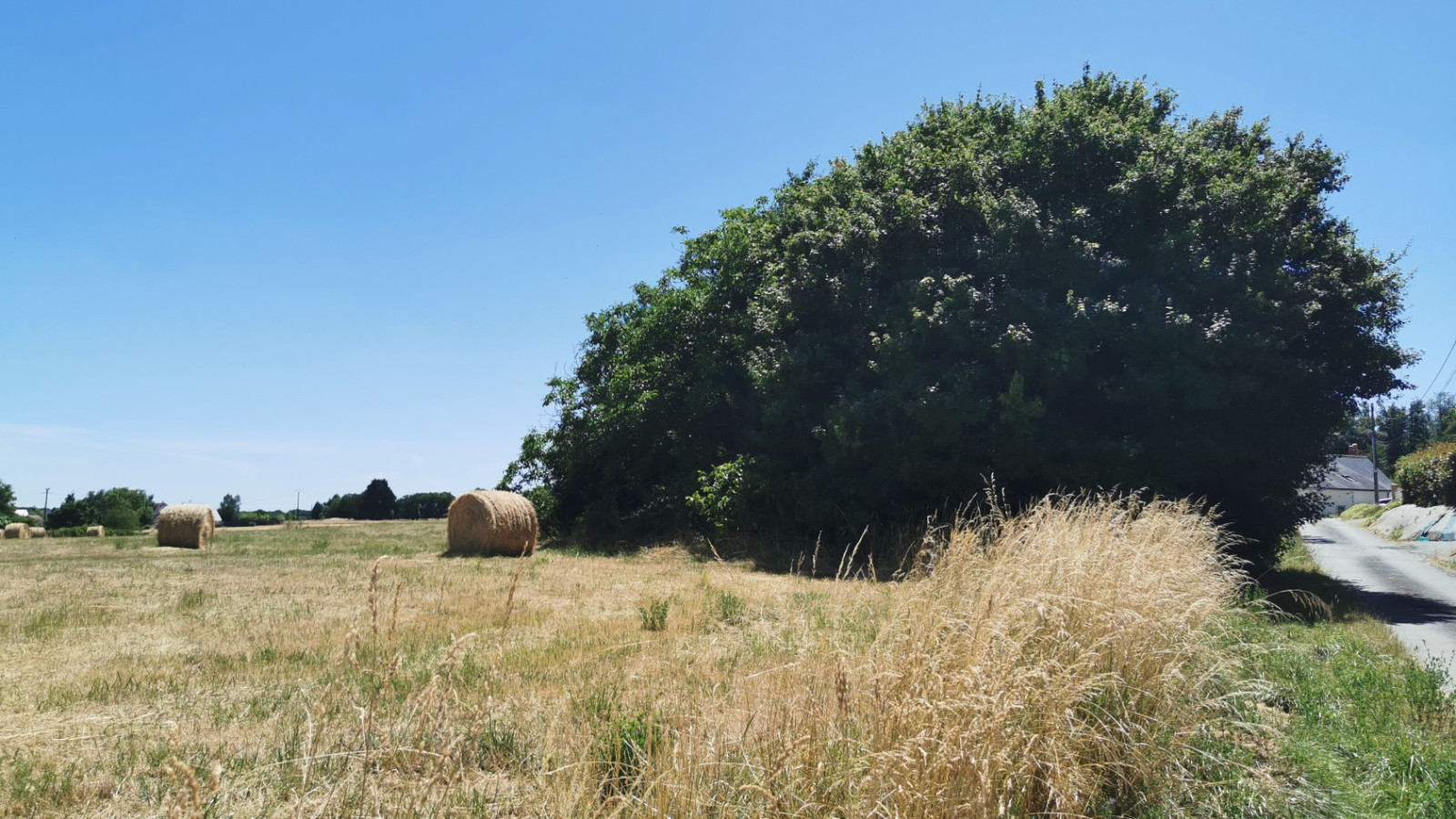 Terrain constructible de 634m2 à Beaumont-Louestault