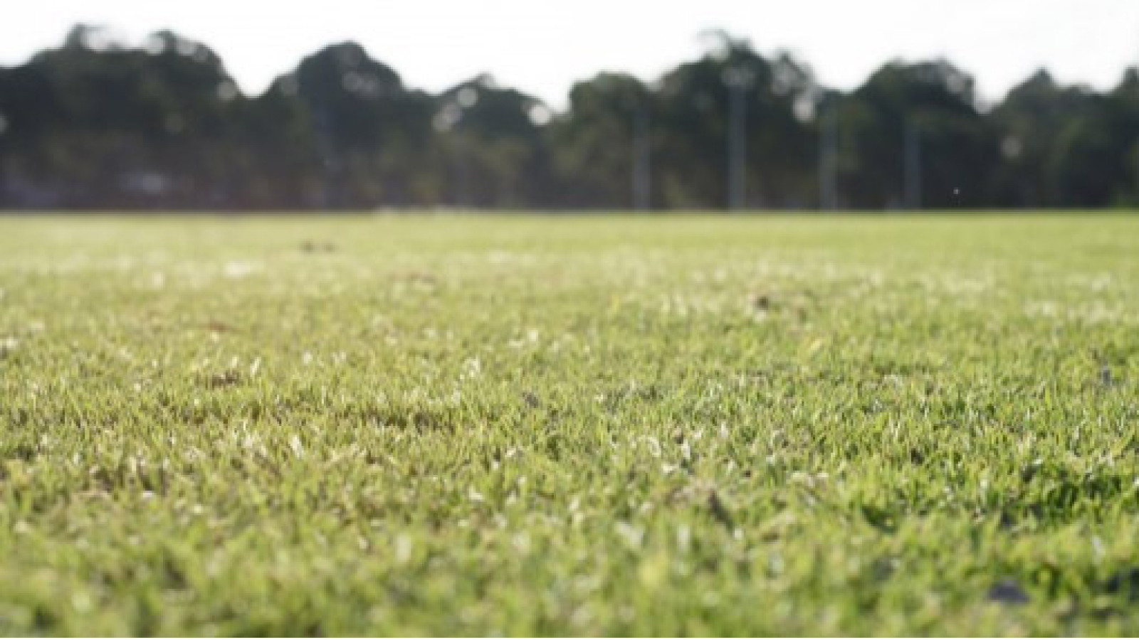 Terrain constructible de 548m2 à Véretz