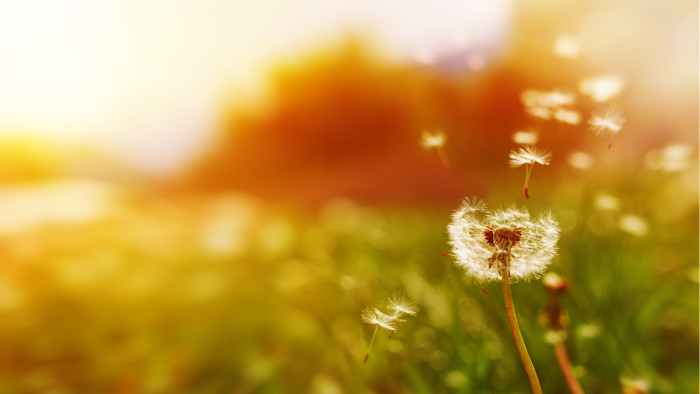 Trouvez votre terrain idéal pour la construction de votre maison à Orléans