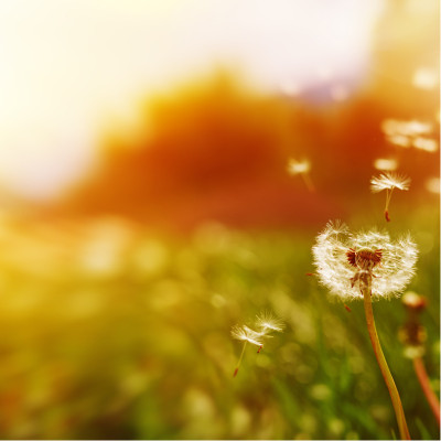 Trouvez votre terrain idéal pour la construction de votre maison à Orléans