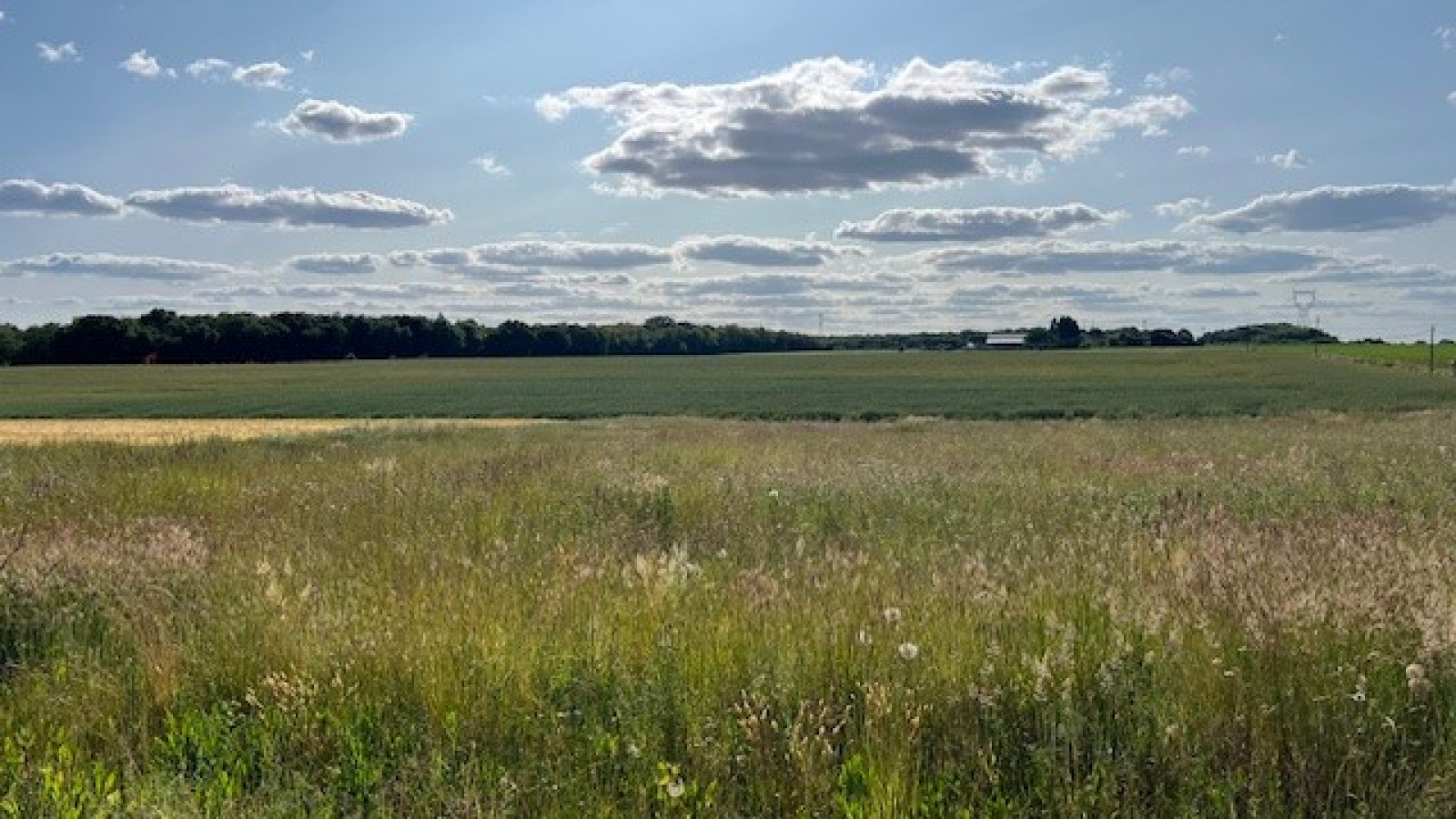 Terrain constructible de 1268m2 à Rouziers-de-Touraine