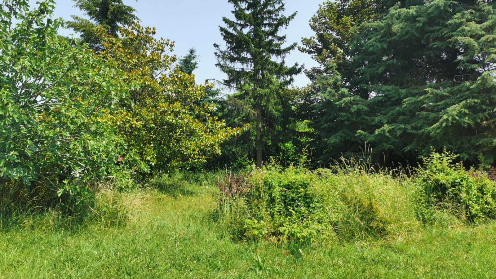 Terrain constructible de 1134m2 à Savonnières