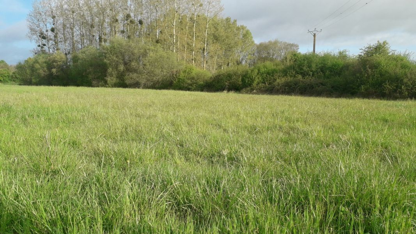 Terrain constructible de 1900m2 à Le Controis-en-Sologne