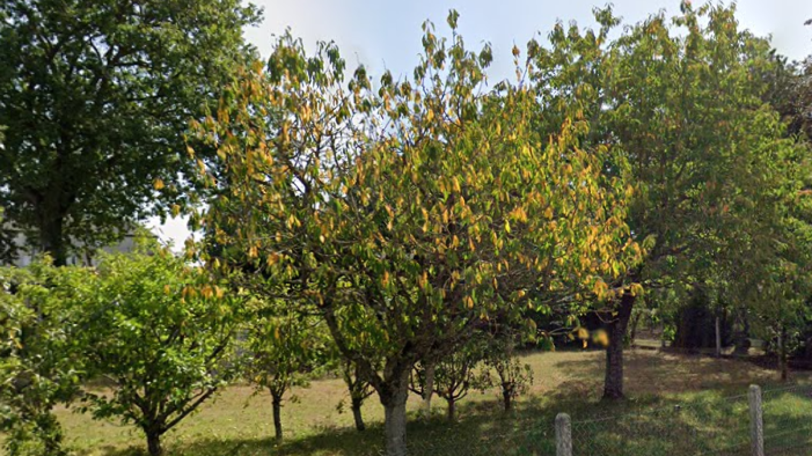 Terrain constructible de 523m2 à Neuville-aux-Bois