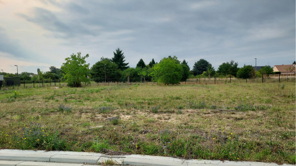  noels les bois jardins  (1).jpg