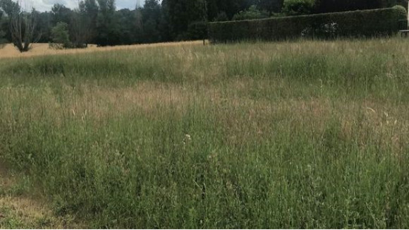 avaray rue du tertre.jpg