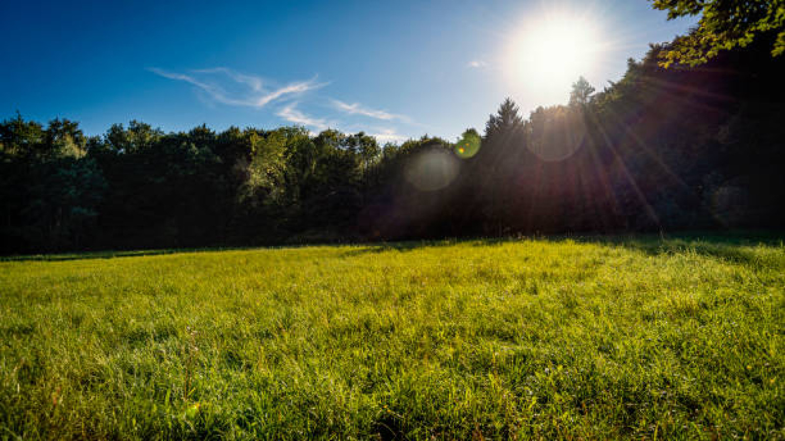 Terrain constructible de 488m2 à Vallères