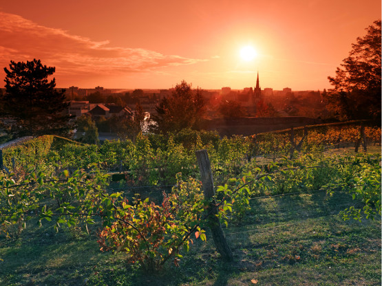 Constructeur de maison à Montargis voir l'agence