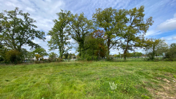 Capture d'écran 2025-09-25 165406.png