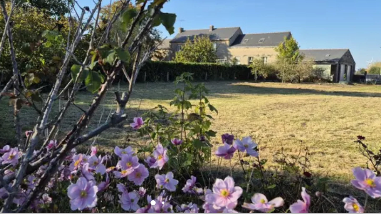 Terrain constructible de 600m2 à Angrie