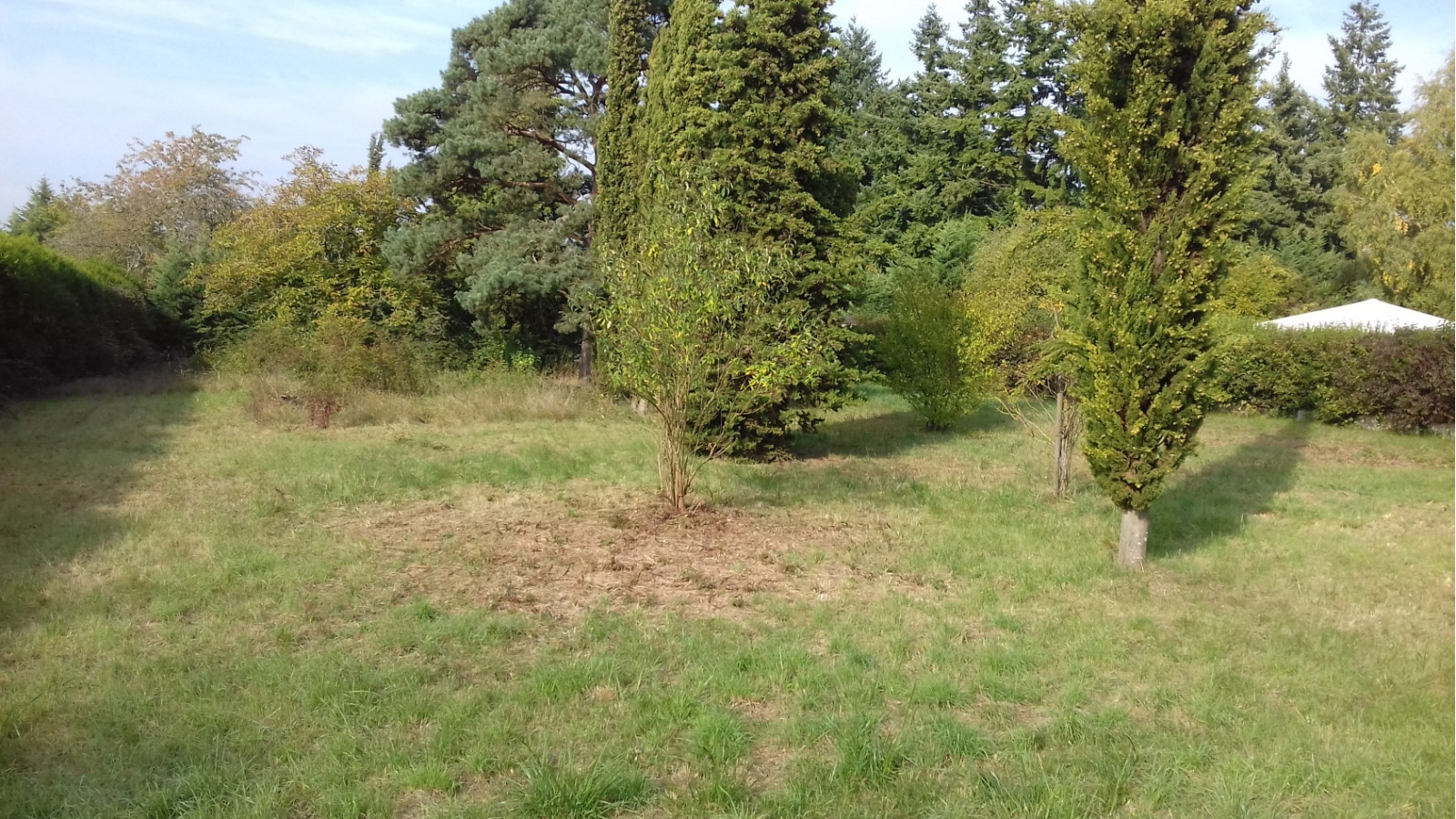 Terrain constructible de 445m2 à Lorrez-le-Bocage-Préaux