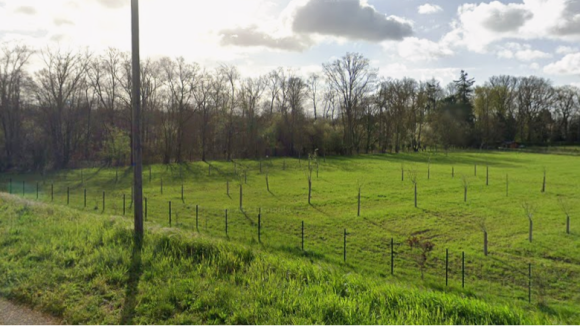 Saint-Jean-Le-Blanc 2.png