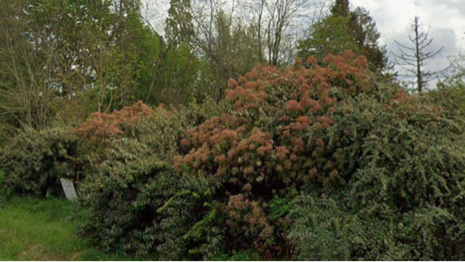 Terrain constructible de 842m2 à Châteauneuf-sur-Loire