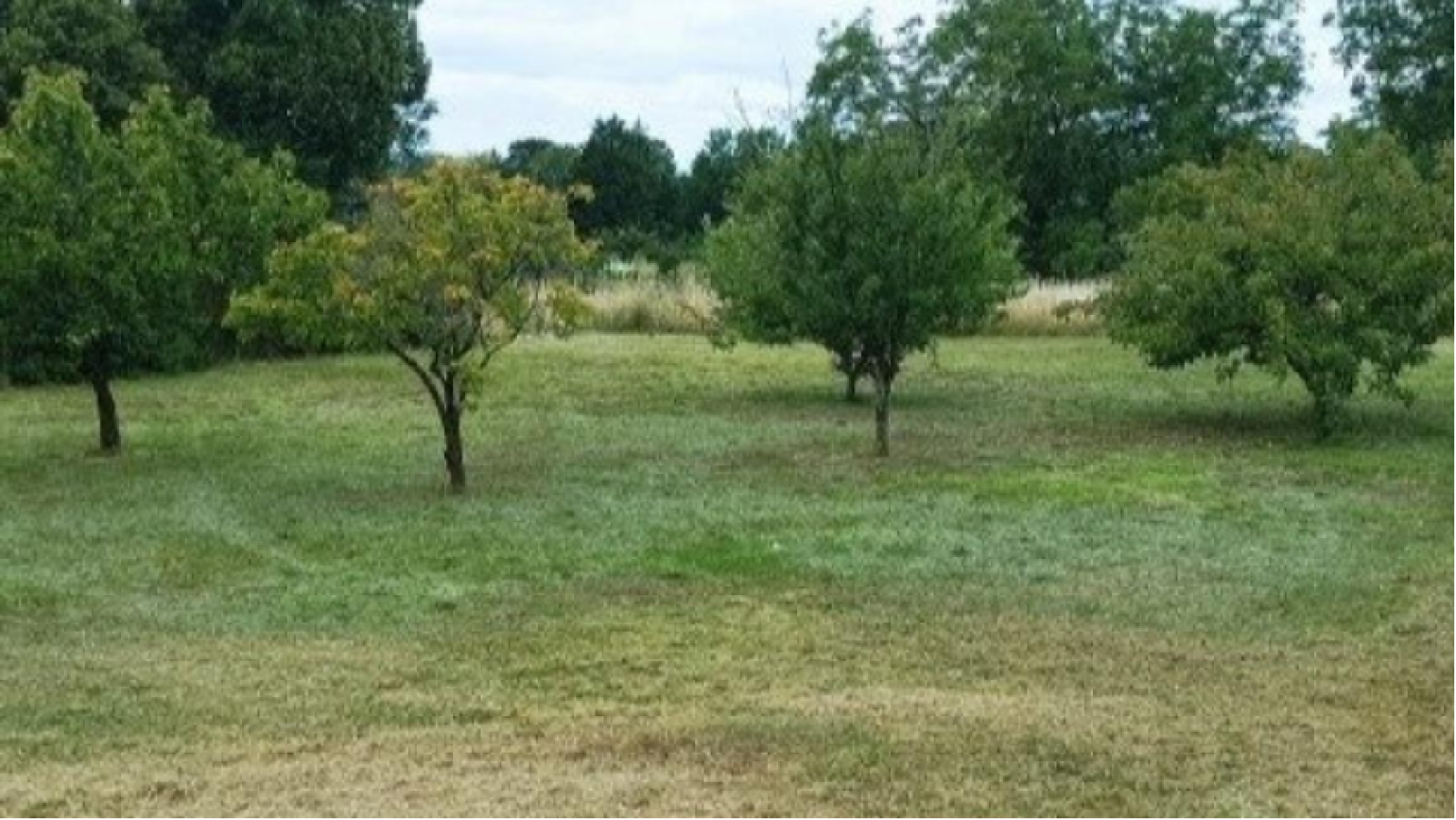 Terrain constructible de 1373m2 à Les Bois d'Anjou