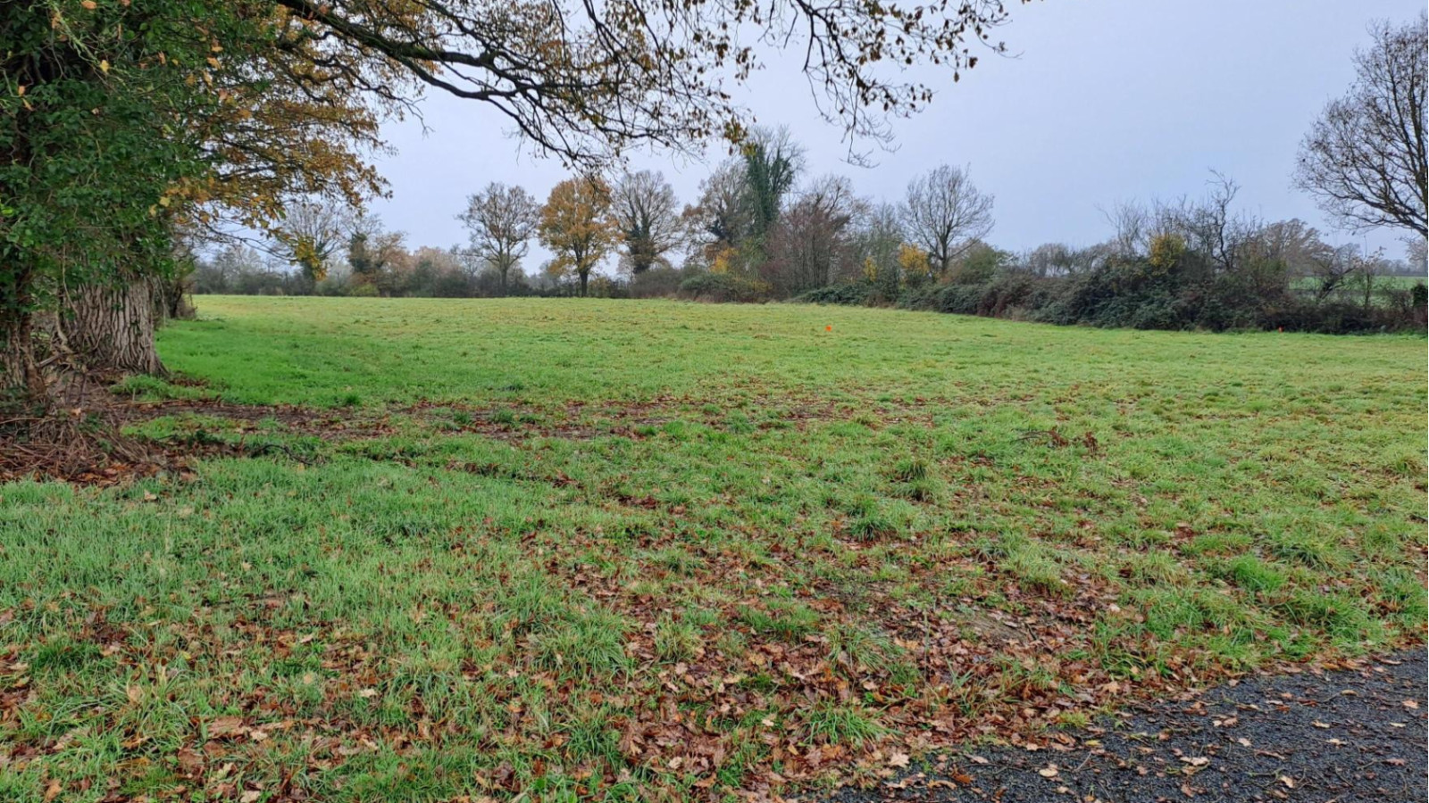 Terrain constructible de 543m2 à Segré-en-Anjou Bleu