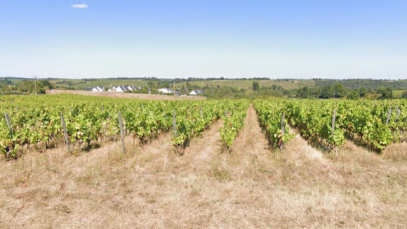 Photo rablay(2)(1).PNG