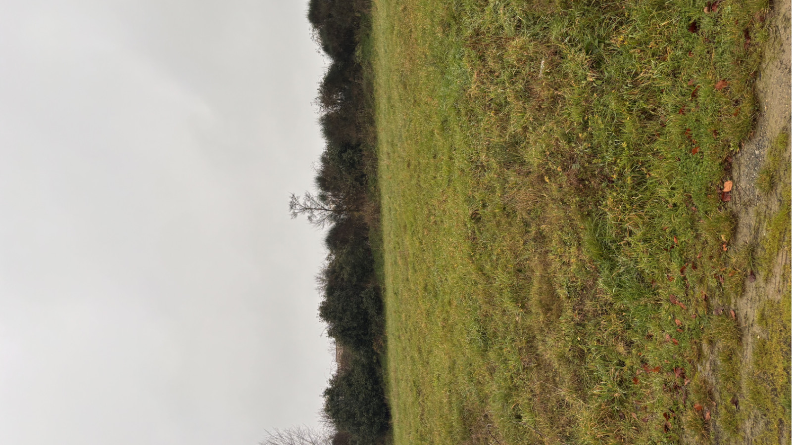 Terrain constructible de 499m2 à Chalonnes-sur-Loire