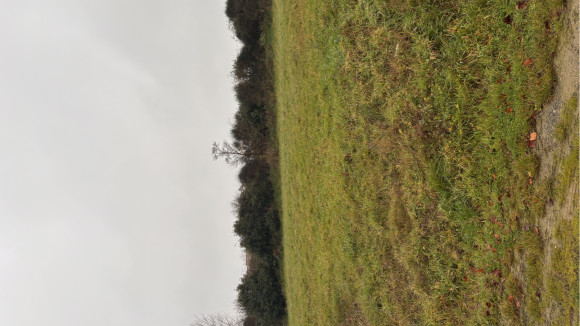 chalonnes lot62-63.jpeg