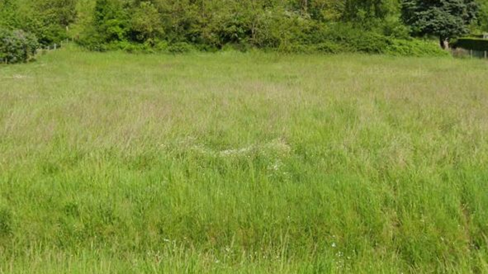 Terrain constructible de 2000m2 à Rilly-sur-Loire