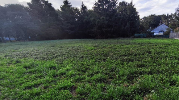 villefranche sur cher.jpg