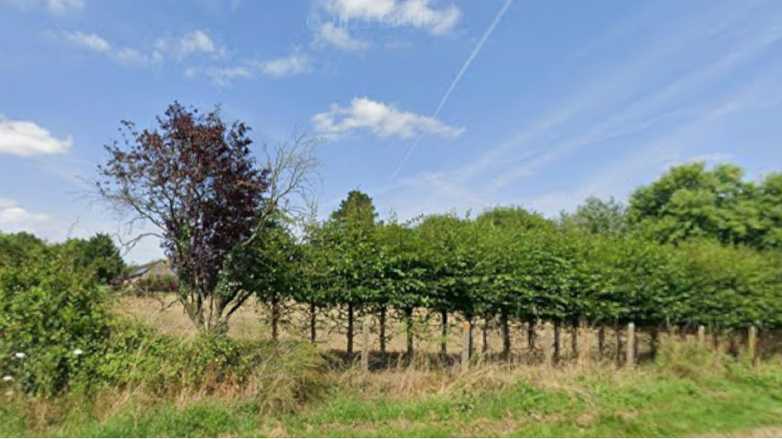 Terrain constructible de 711m2 à Mozé-sur-Louet