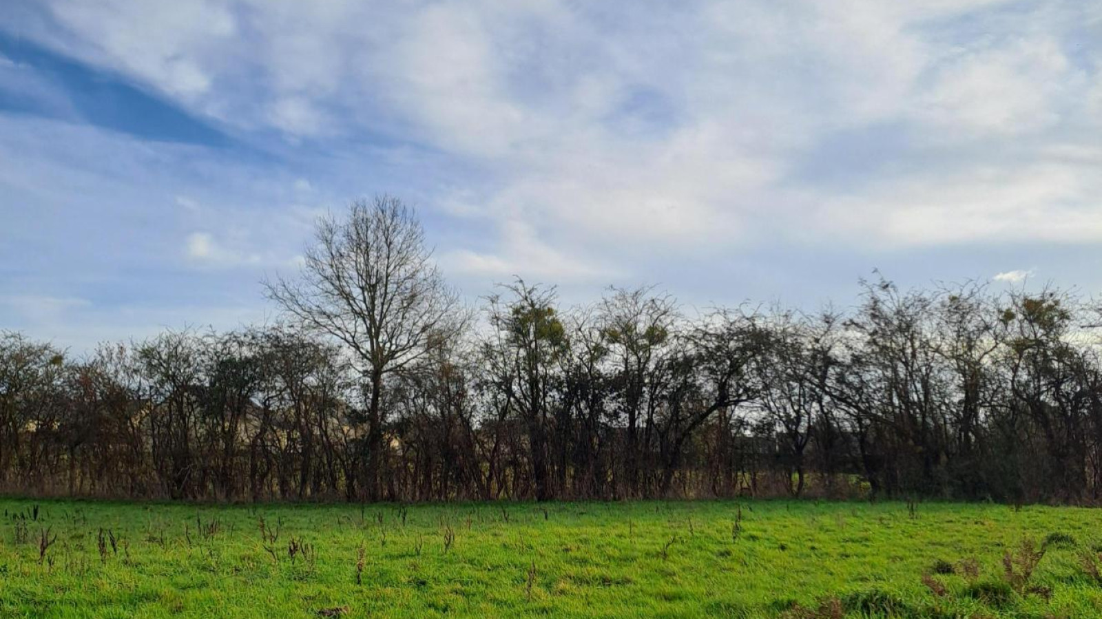 Terrain constructible de 356m2 à Val d'Erdre-Auxence