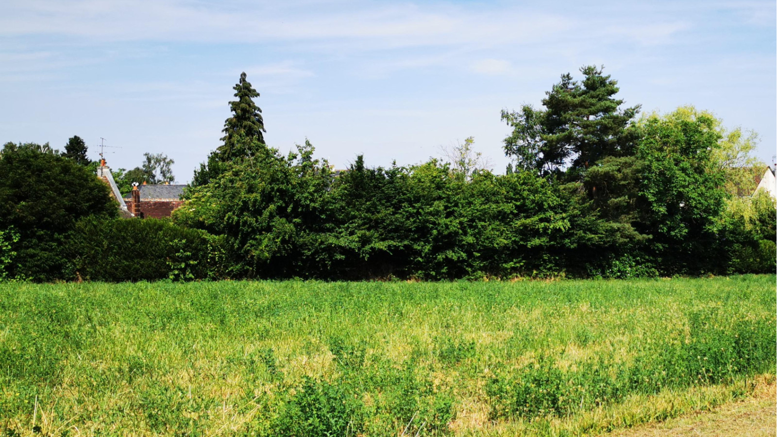 Terrain constructible de 603m2 à Beaulieu-lès-Loches