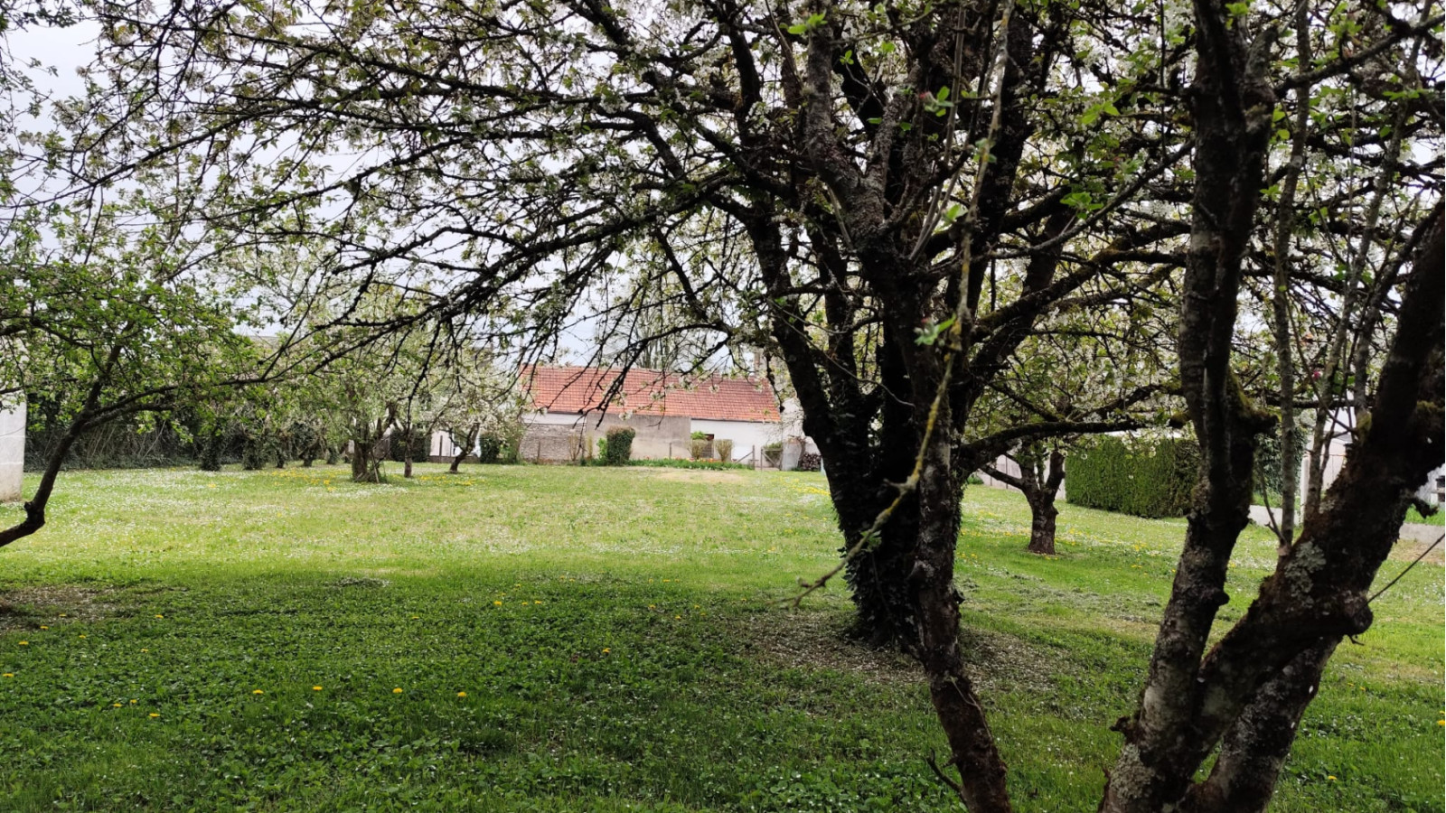 Terrain constructible de 600m2 à Saint-Gervais-la-Forêt