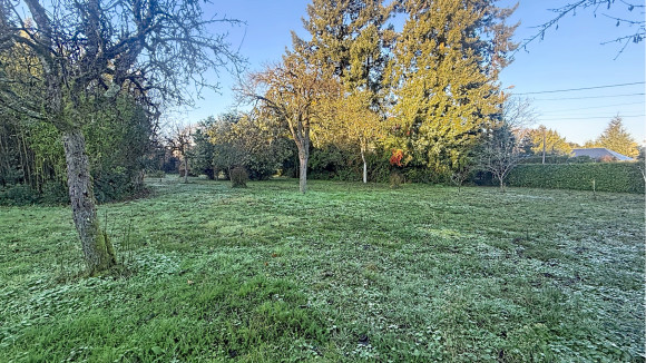 riglet_00001 (2).jpg