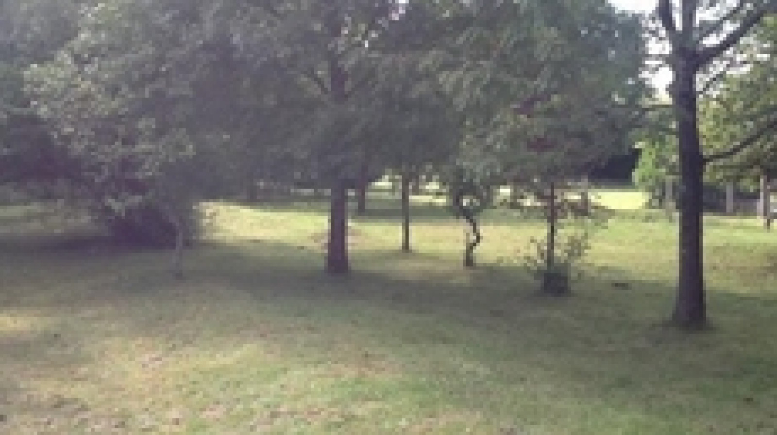 Terrain constructible de 307m2 à Montargis