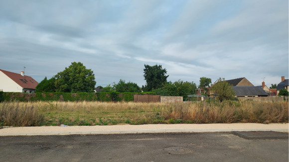  noels les bois jardins  (2).jpg