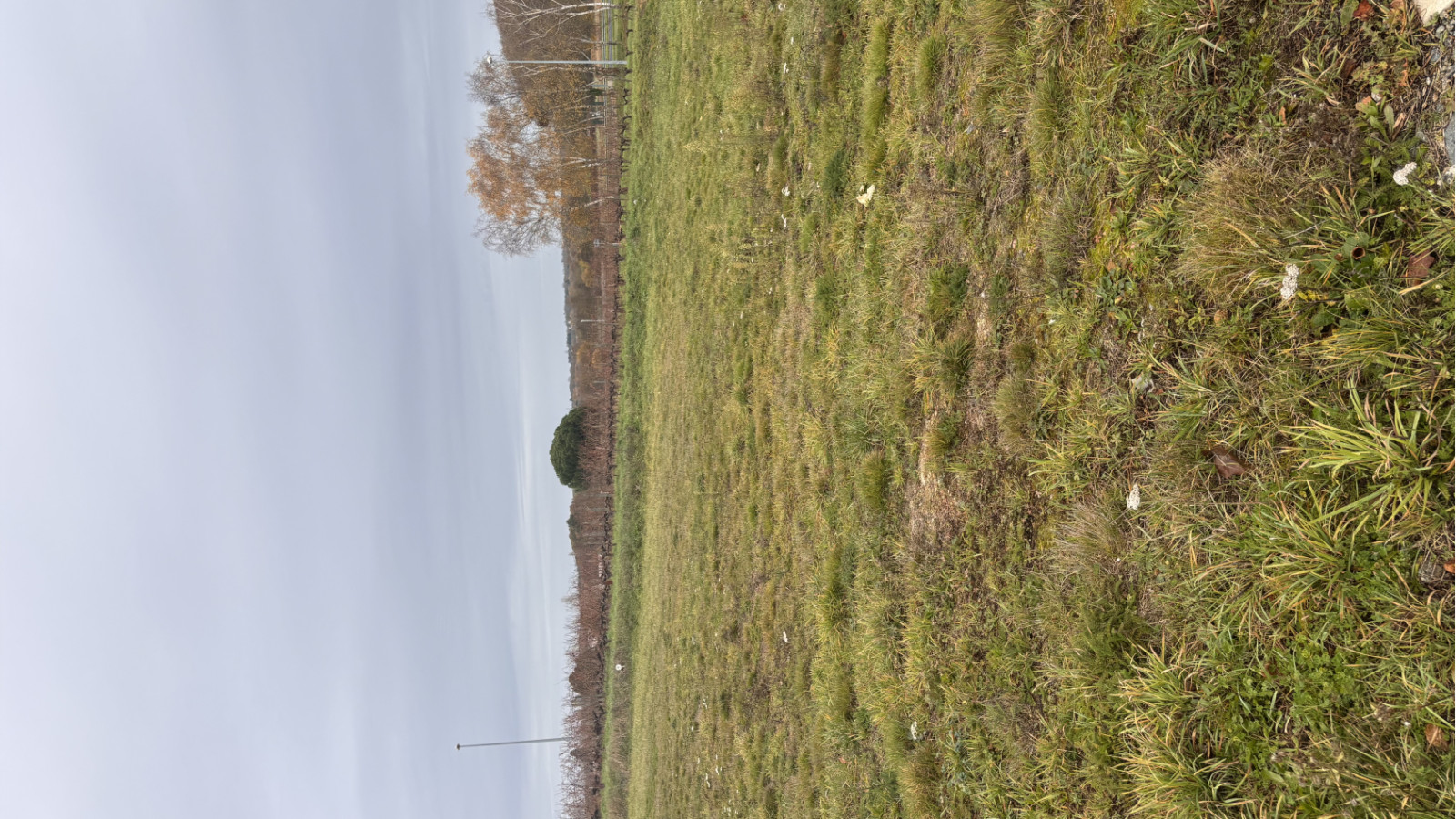 Terrain constructible de 518m2 à Brissac Loire Aubance