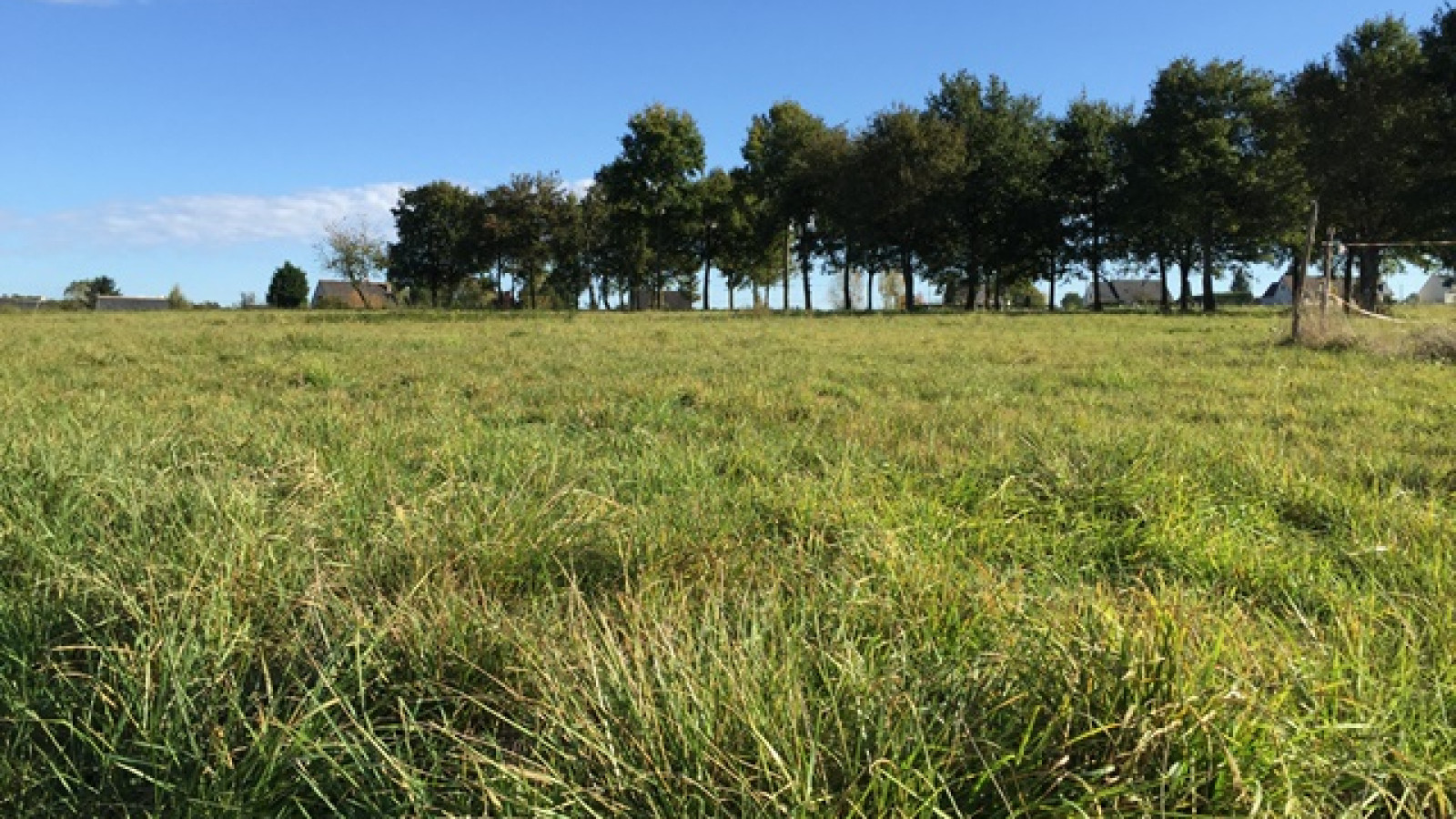 Terrain constructible de 450m2 à Notre-Dame-d'Oé