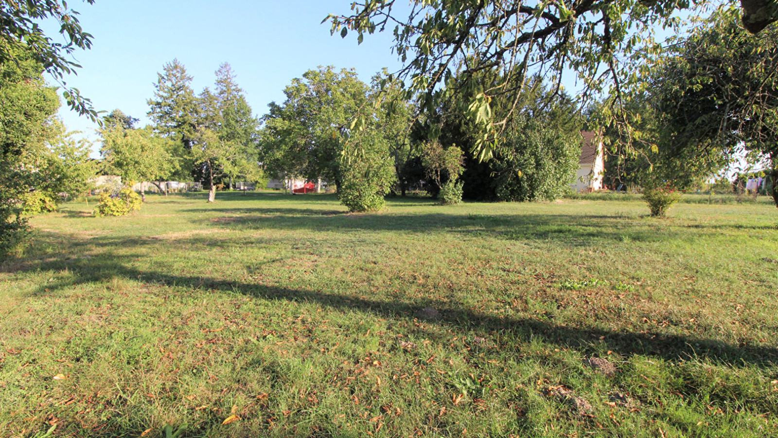 Terrain constructible de 1000m2 à Cellettes