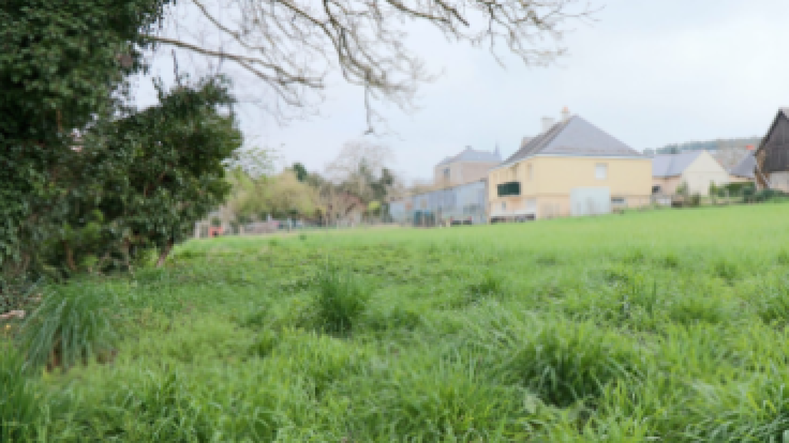 Terrain constructible de 591m2 à Les Bois d'Anjou