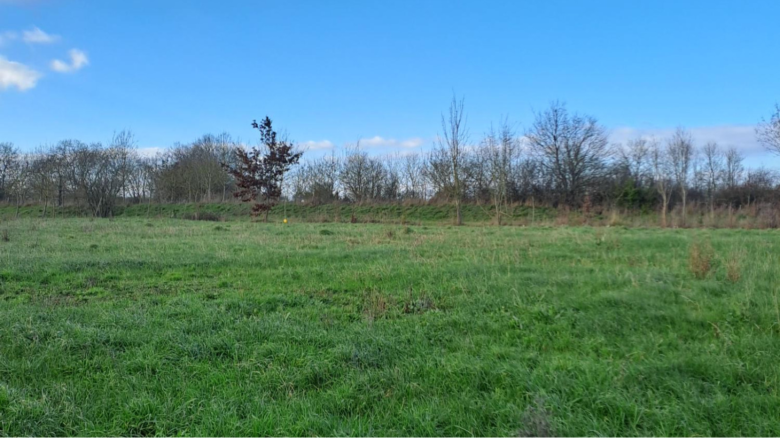 Terrain constructible de 384m2 à Mauges-sur-Loire