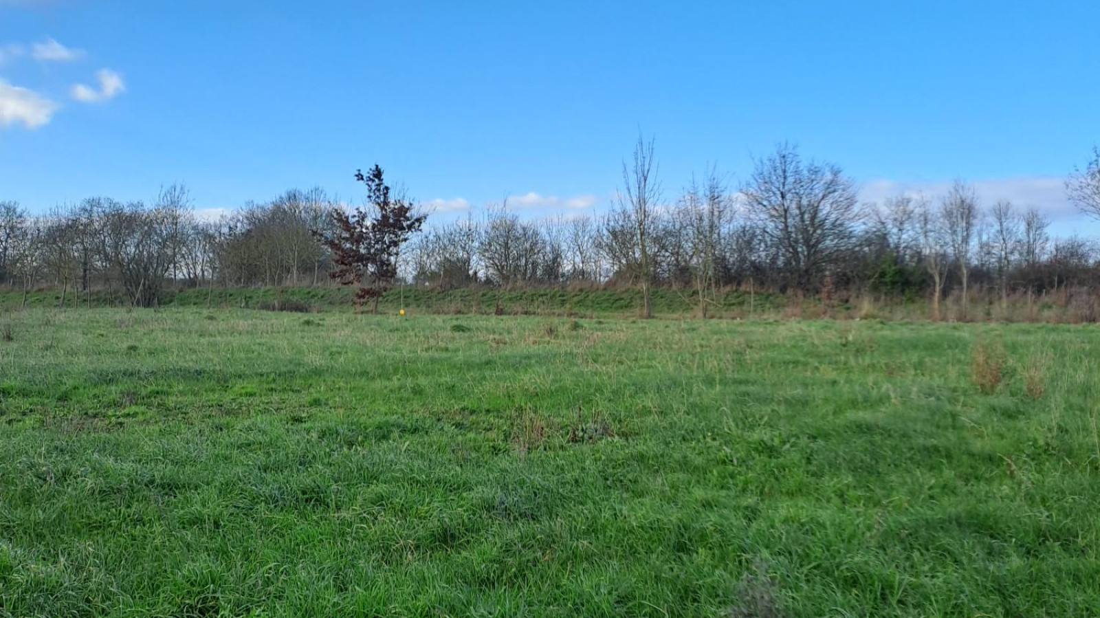 Terrain constructible de 1303m2 à Beaufort-en-Anjou