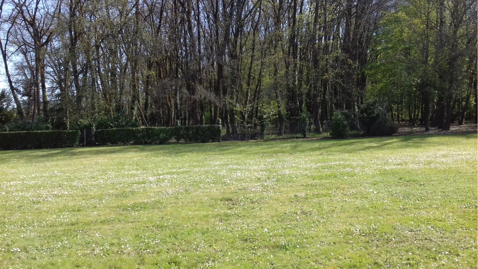 Terrain constructible de 1315m2 à Chauvigny