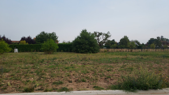  noels les bois jardins  (4).jpg