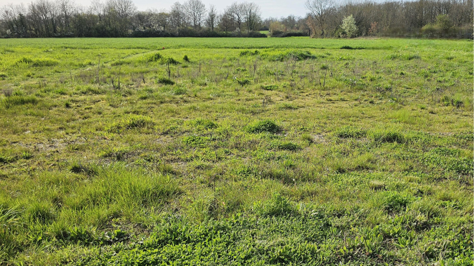 Terrain constructible de 1880m2 à Truyes
