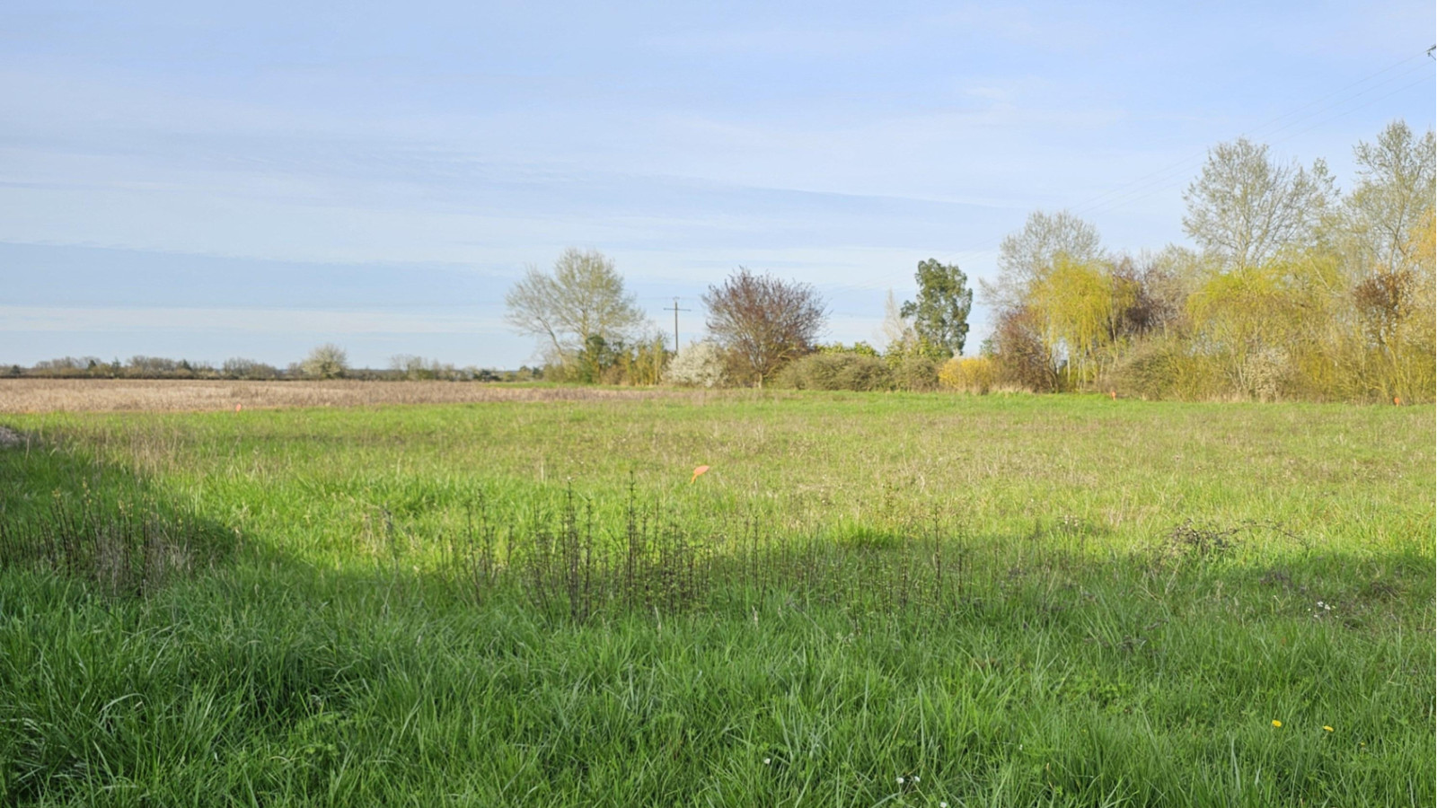 Terrain constructible de 1327m2 à Reignac-sur-Indre