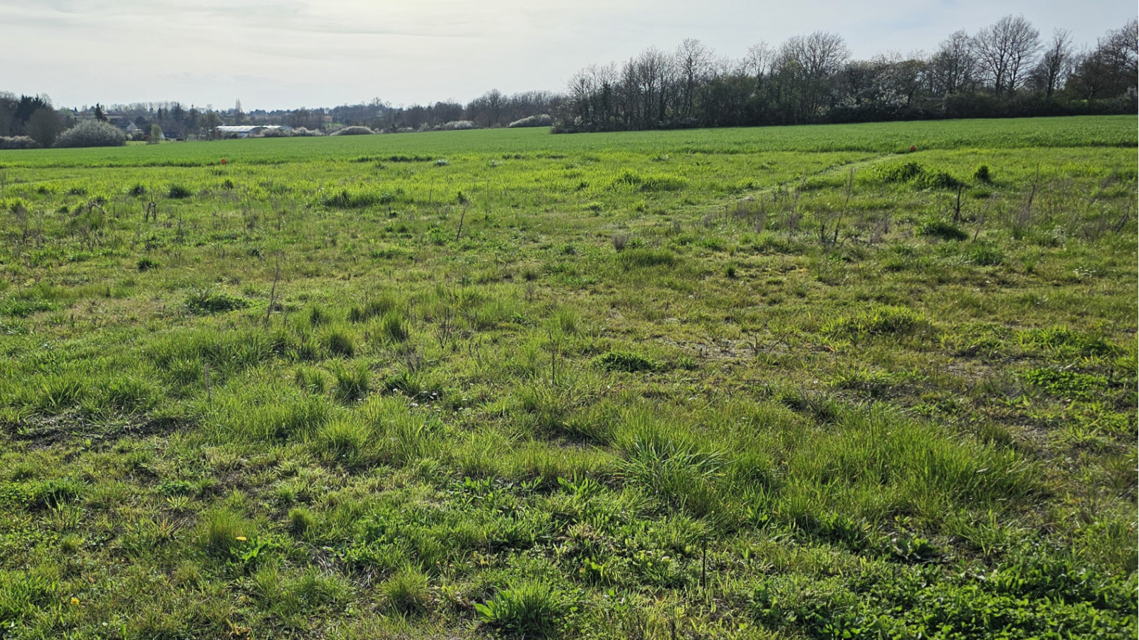 Terrain constructible de 3200m2 à Reignac-sur-Indre