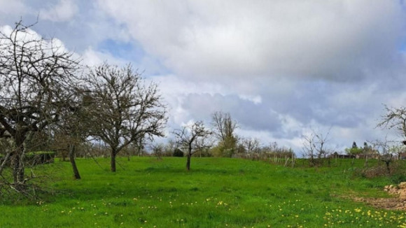 photo senillé (2).jpg