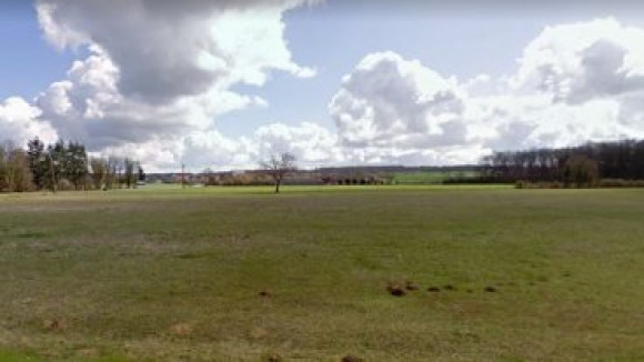 photo orches(1) (1).jpeg